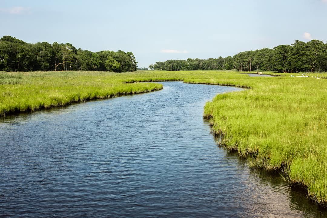 Junction and Breakwater Trail