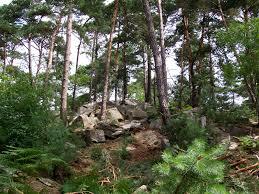 Forêt Domaniale d'Ermenonville