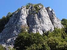 Sokolica
