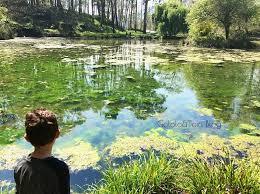 Parque La Cebera