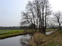 Reest