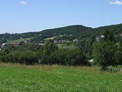 Trupielec