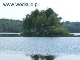 Pniewy