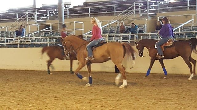 Los Angeles Equestrian Center