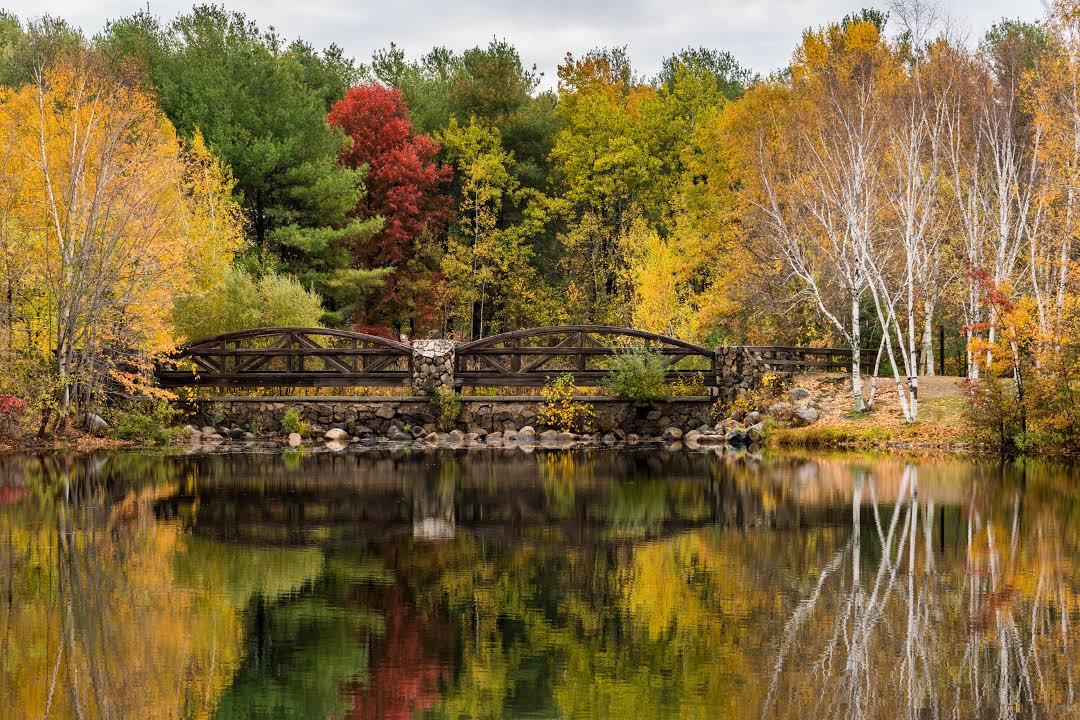 Lincoln Woods State Park