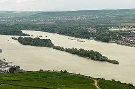 Rüdesheimer Aue