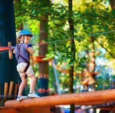 Park Linowy Czarny Gron