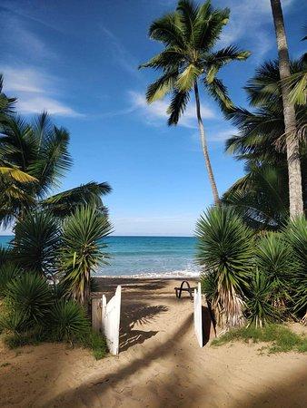 The Beach Restaurant
