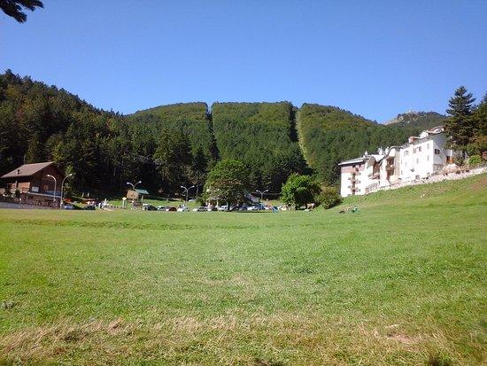 Pasticceria L'Ombrellone