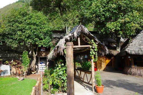 El chozon bar & grill