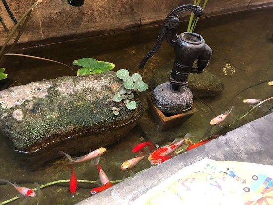 Pancake His Excellency Daek