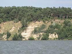 Gnitz