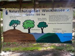 Wockninsee