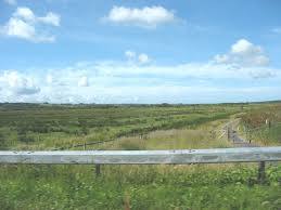 Malltraeth Marsh