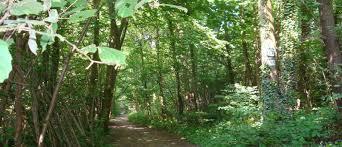 Forêt Domaniale de la Malmaison