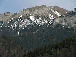 Nowy Wierch