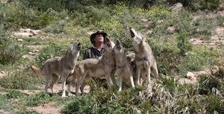 Lobo Park Antequera