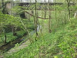 Buchenbach