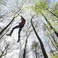 Forest Adventure Treeclimbing Park Bad Neuenahr
