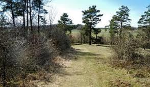 Venusberg-Wolfsäcker-Besental