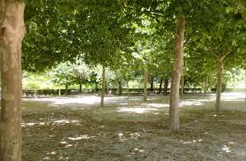 Font de Sis