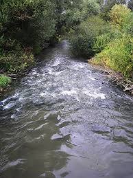 Aisch
