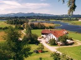 Memhölz