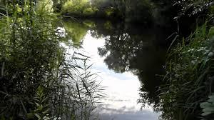 Hörsteiner See