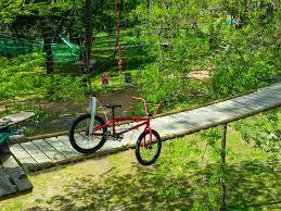 Accroche toi aux branches