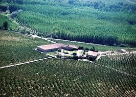 Bodegas Amézola de la Mora