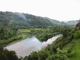 Río Narcea
