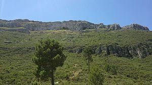 Sierra de Agullent