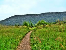 Wawayanda Mountain