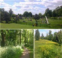 Bedgrove Park