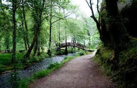 Rio Barosa