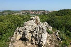 Aranyhaz gejzirkup