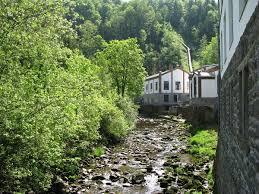 Wolfsteiner Ohe