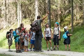 Parc naturel des Dolomites d'Ampezzo