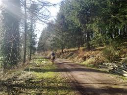 Wentwood