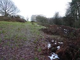 Ulverscroft Nature Reserve