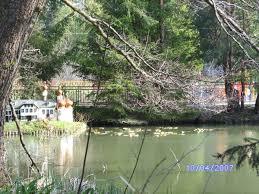 Alpen- und Seerosengarten