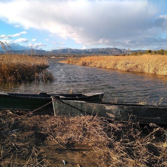 la Bassa de les Olles