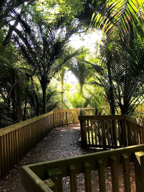 Le Roys Bush Walkway