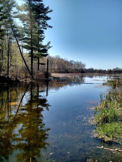 Beaver Meadow Wildlife Management Area