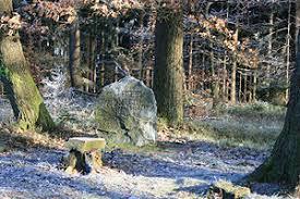 Hoher Schaden
