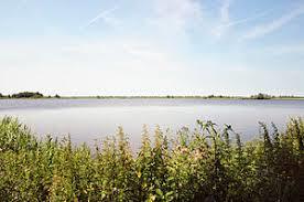 Bansmeer
