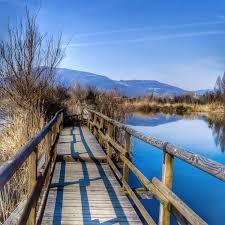 Riserva Naturale delle Torbiere del Sebino