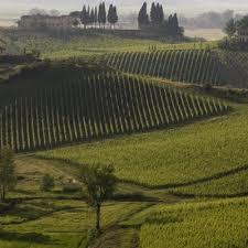 Poggiotondo Wines