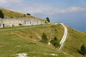 Monte Lisser