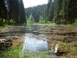 Poppelsee